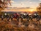 Honda Motorrad-Range vor Sonnenuntergang