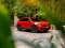 Roter Fiat in seitlicher Frontalansicht vor grünen Büschen parkend.