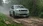 Mintgrüner Fiat Grande Panda in einem Wald.