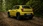 Gelber Fiat Grande Panda in einem Wald, von hinten fotografiert.