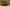 Heckansicht eines Jeep Geländewagens.