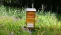 Bienenstock in einer hohen Wiese.