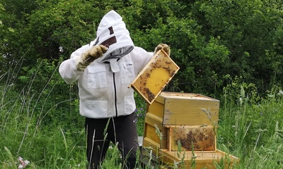 Imker mit einem Bienenstock.
