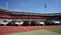 Eine Flotte an BYD-Fahrzeugen im Max-Morlock-Stadion in Nürnberg.