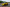 Seitenaufnahme eines gelben Fiat SUVs mit Wald im Hintergrund.